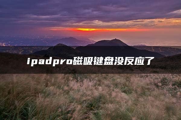 ipadpro磁吸键盘没反应了