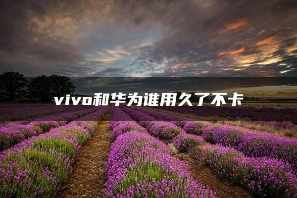 vivo和华为谁用久了不卡