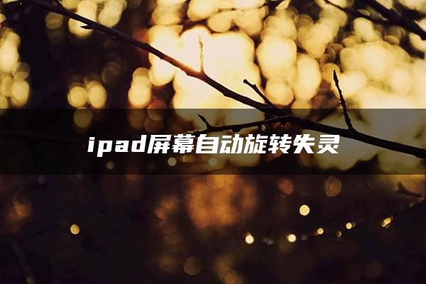 ipad屏幕自动旋转失灵