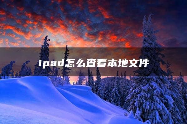 ipad怎么查看本地文件