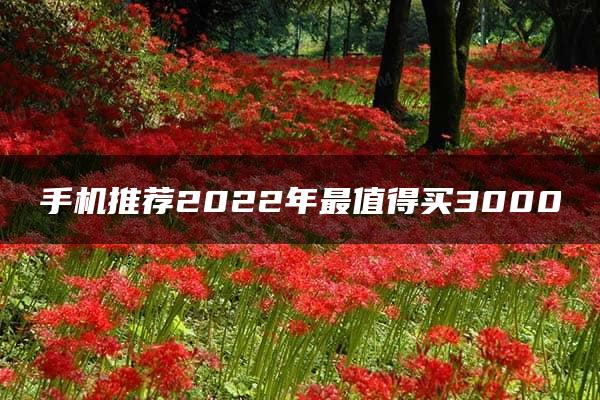 手机推荐2022年最值得买3000