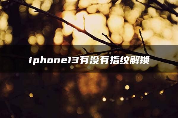 iphone13有没有指纹解锁