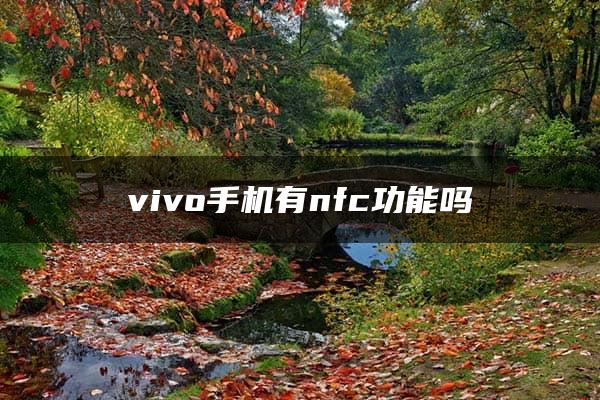 vivo手机有nfc功能吗