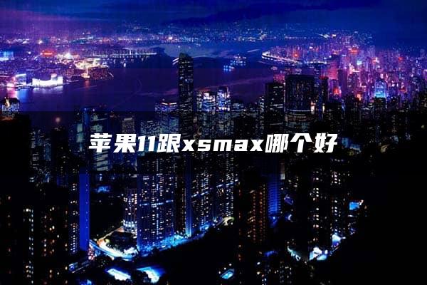 苹果11跟xsmax哪个好