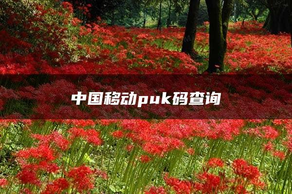 中国移动puk码查询