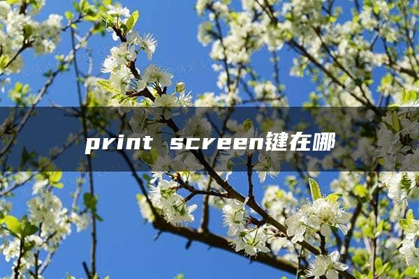 print screen键在哪