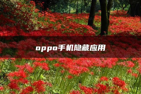 oppo手机隐藏应用