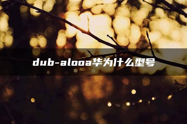 dub-alooa华为什么型号