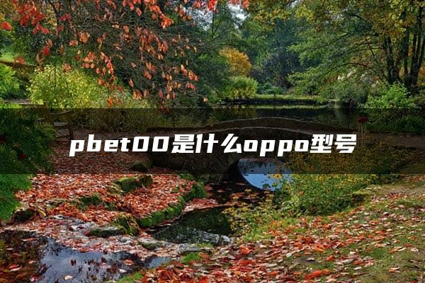 pbet00是什么oppo型号