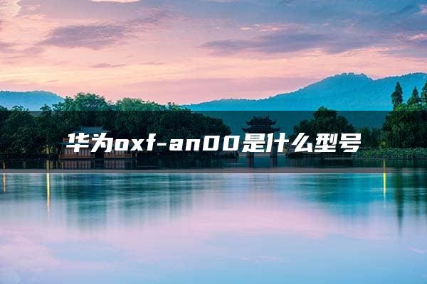 华为oxf-an00是什么型号