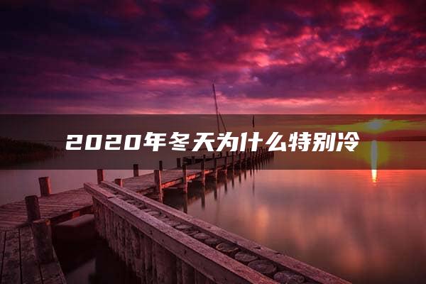 2020年冬天为什么特别冷