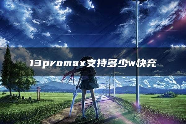 13promax支持多少w快充