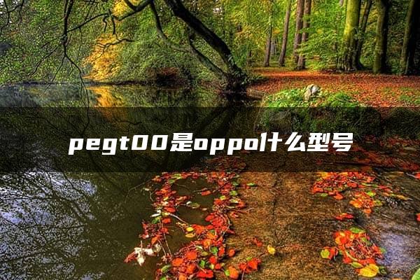 pegt00是oppo什么型号