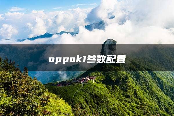 oppok1参数配置