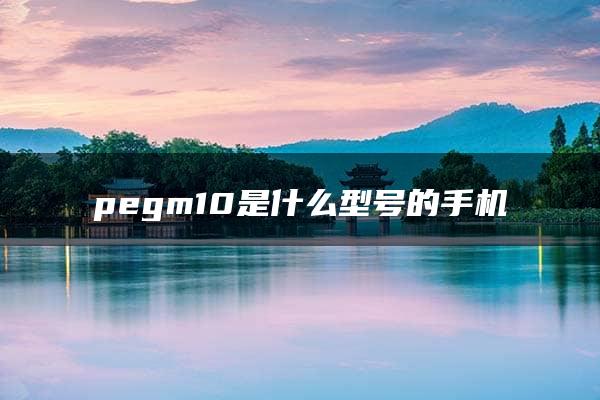 pegm10是什么型号的手机