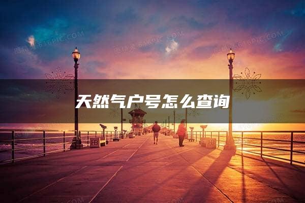 天然气户号怎么查询