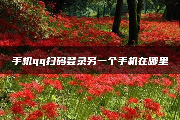 手机qq扫码登录另一个手机在哪里