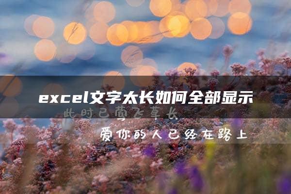 excel文字太长如何全部显示