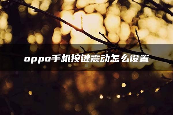 oppo手机按键震动怎么设置