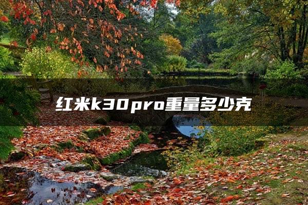 红米k30pro重量多少克