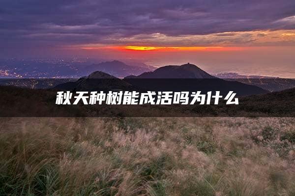 秋天种树能成活吗为什么