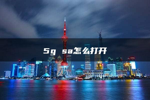 5g sa怎么打开