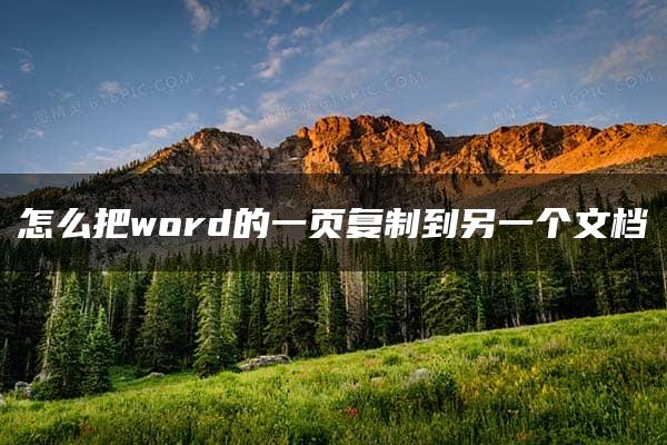 怎么把word的一页复制到另一个文档