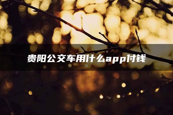 贵阳公交车用什么app付钱