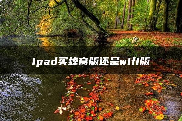 ipad买蜂窝版还是wifi版