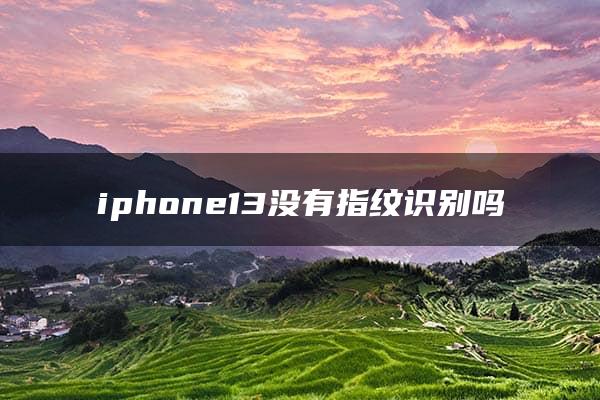 iphone13没有指纹识别吗