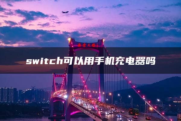 switch可以用手机充电器吗