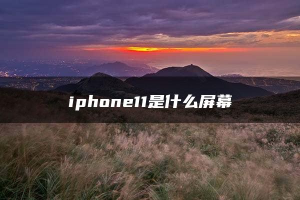 iphone11是什么屏幕