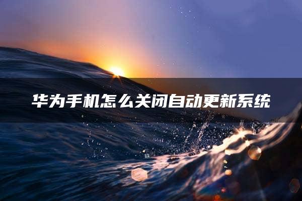 华为手机怎么关闭自动更新系统