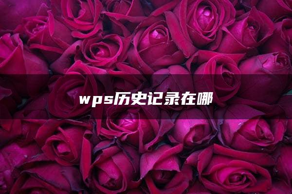 wps历史记录在哪