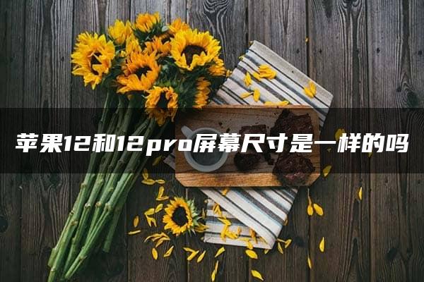 苹果12和12pro屏幕尺寸是一样的吗