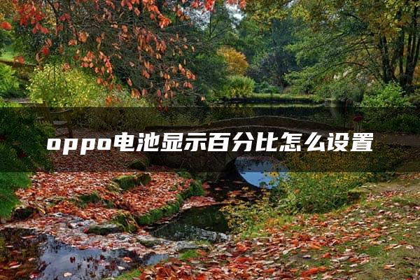 oppo电池显示百分比怎么设置