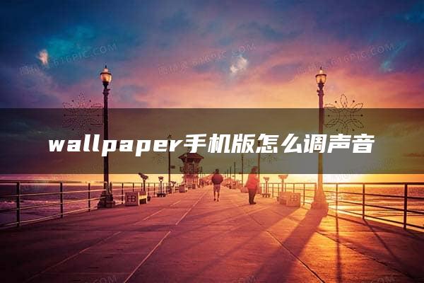 wallpaper手机版怎么调声音