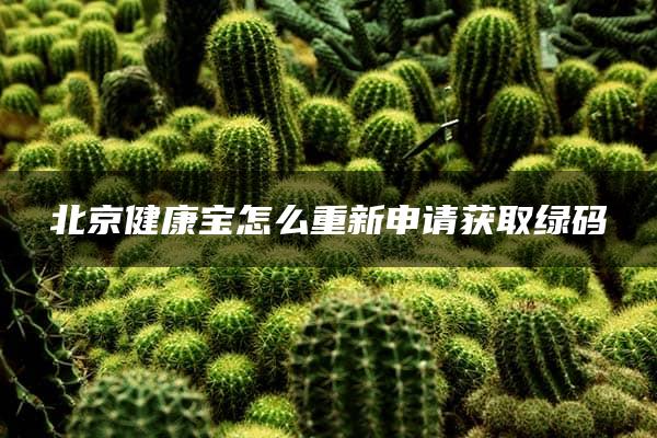 北京健康宝怎么重新申请获取绿码