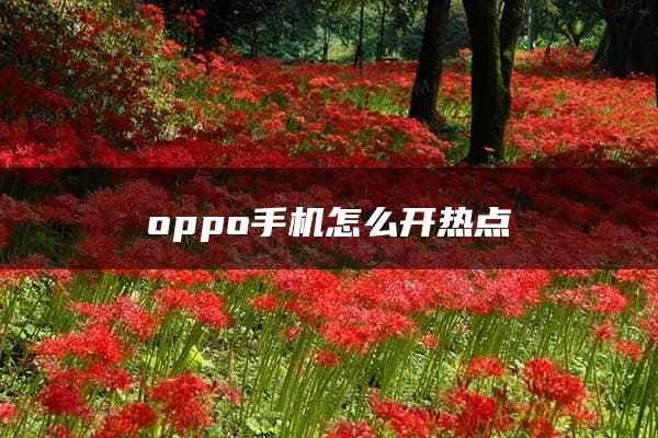 oppo手机怎么开热点