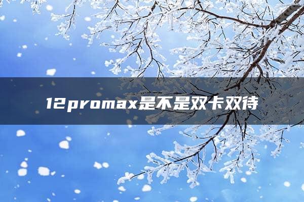 12promax是不是双卡双待