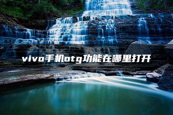 vivo手机otg功能在哪里打开