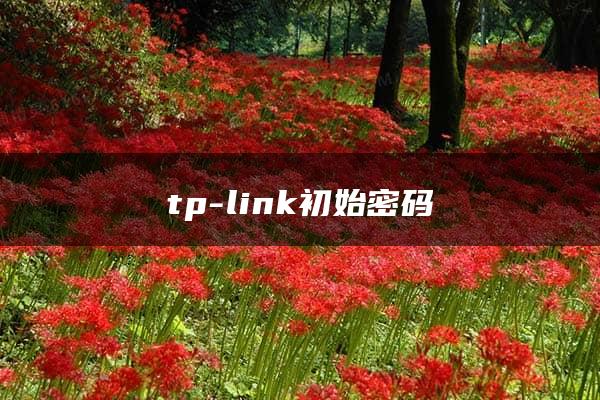 tp-link初始密码