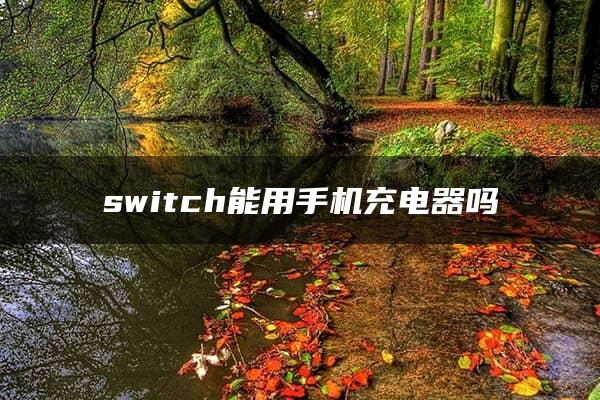 switch能用手机充电器吗