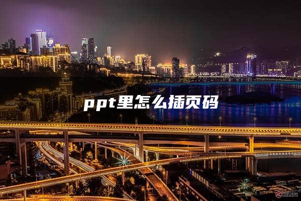 ppt里怎么插页码