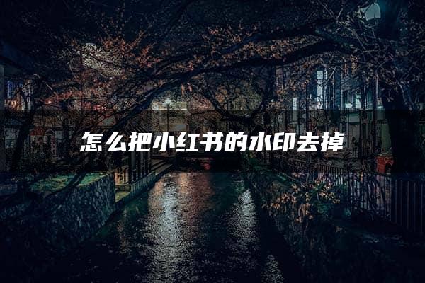 怎么把小红书的水印去掉