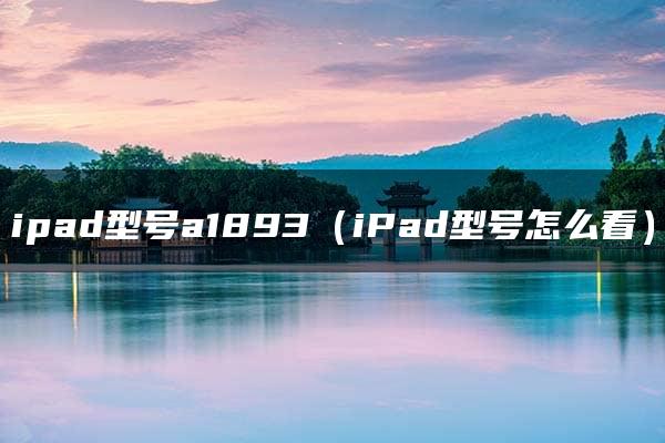 ipad型号a1893（iPad型号怎么看）