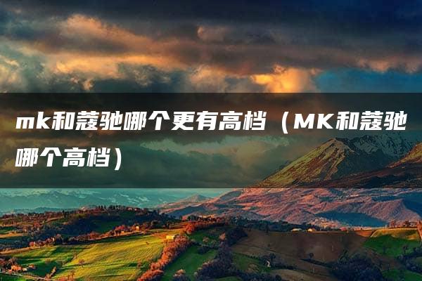 mk和蔻驰哪个更有高档（MK和蔻驰哪个高档）