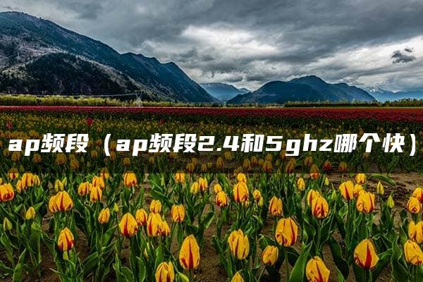 ap频段（ap频段2.4和5ghz哪个快）