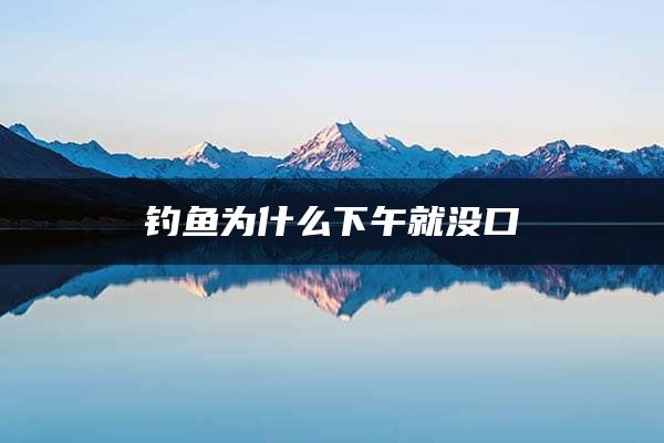 钓鱼为什么下午就没口