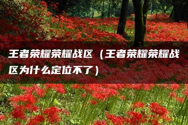 王者荣耀荣耀战区（王者荣耀荣耀战区为什么定位不了）